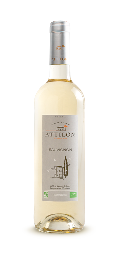 Sauvignon allusion