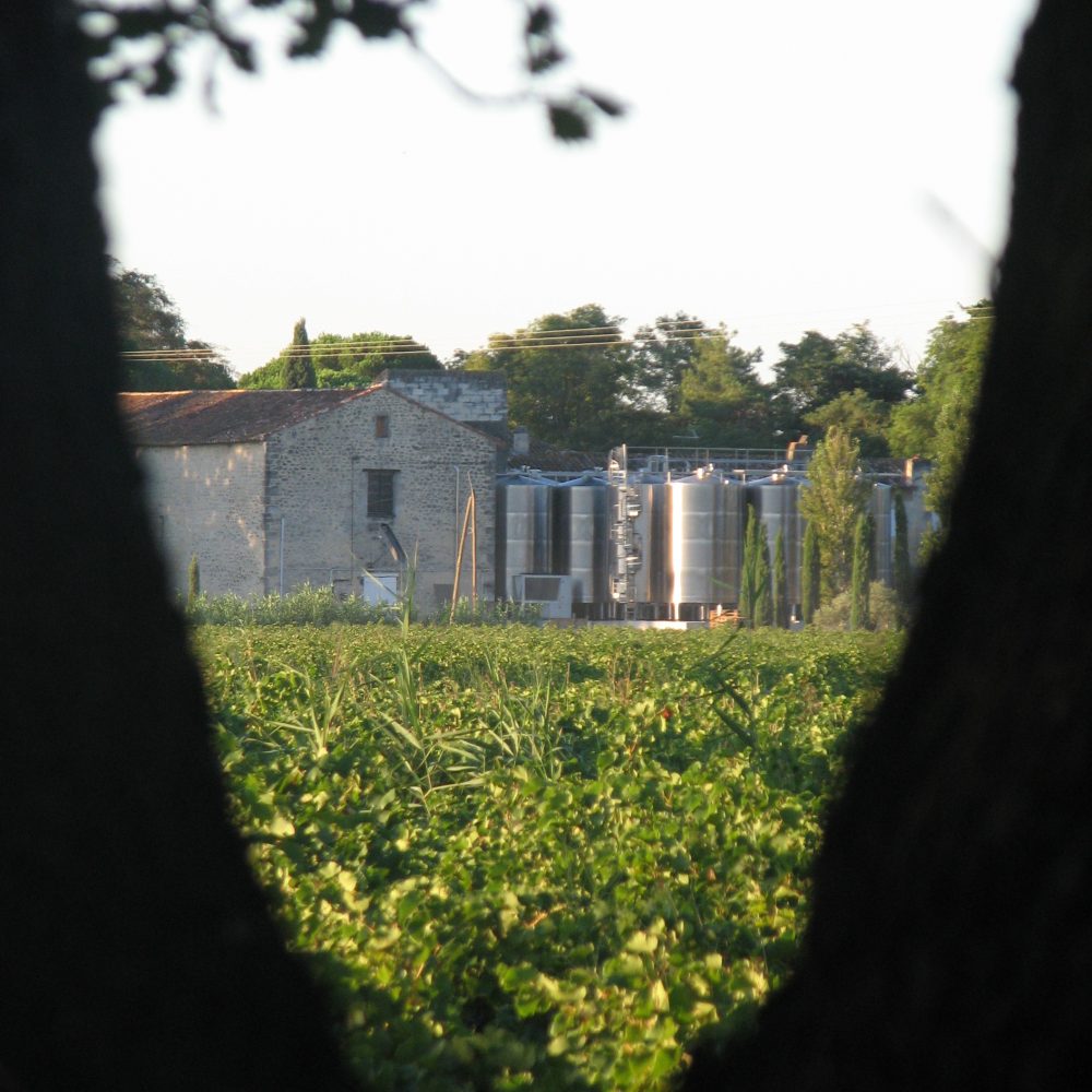 Domaine Attilon - Vins bio